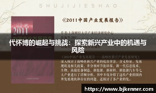 代怀博的崛起与挑战：探索新兴产业中的机遇与风险
